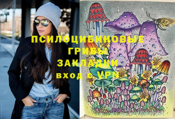 ALPHA PVP Киреевск